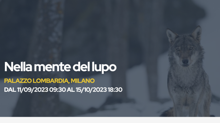 Nella mente del lupo – mostra immersiva